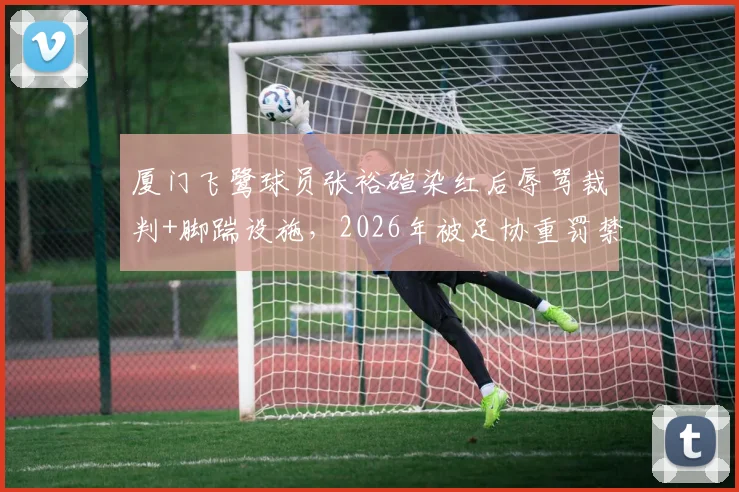 厦门飞鹭球员张裕碹染红后辱骂裁判+脚踹设施，2026年被足协重罚禁赛7个月，球员情绪管理成焦点