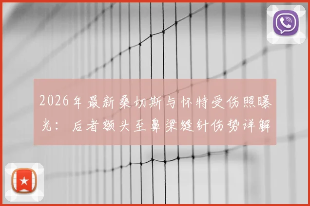 2026年最新桑切斯与怀特受伤照曝光：后者额头至鼻梁缝针伤势详解，格斗运动员受伤恢复过程盘点