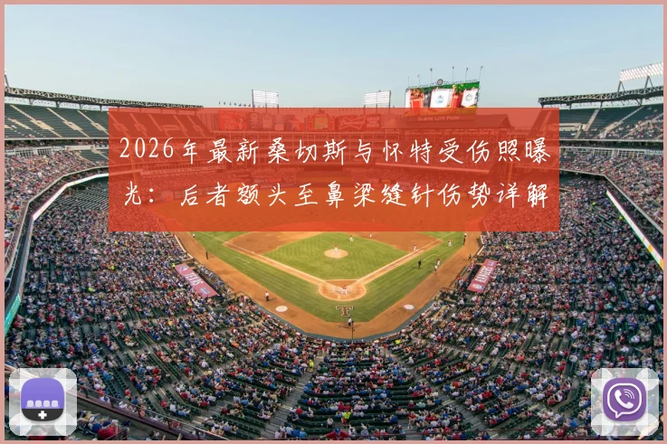 2026年最新桑切斯与怀特受伤照曝光：后者额头至鼻梁缝针伤势详解，格斗运动员受伤恢复过程盘点